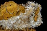 Hemimorphite Crystal Cluster - Chihuahua, Mexico #127512-1